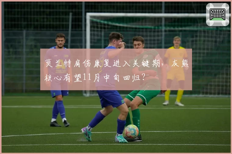 莫兰特肩伤康复进入关键期，灰熊核心有望11月中旬回归？