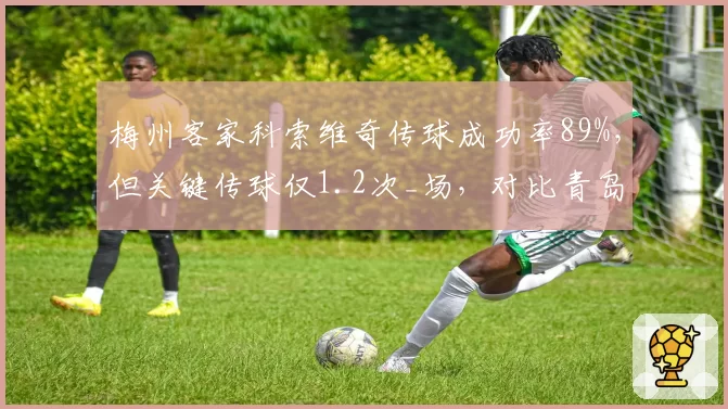 梅州客家科索维奇传球成功率89%，但关键传球仅1.2次_场，对比青岛海牛萨里奇2.5次，安全球与威胁球如何取舍？